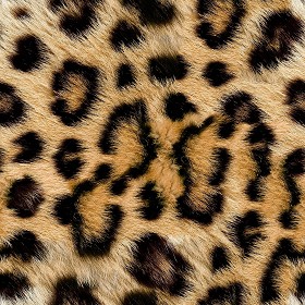 Textures   -   MATERIALS   -   FUR ANIMAL  - Leopard faux fake fur animal texture seamless 09555 (seamless)