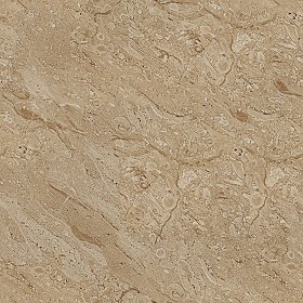 Textures   -   ARCHITECTURE   -   MARBLE SLABS   -  Brown - Slab brown marble breccia sardinia texture seamless 01972