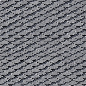 Textures   -   ARCHITECTURE   -   ROOFINGS   -  Slate roofs - Slate roofing texture seamless 03899