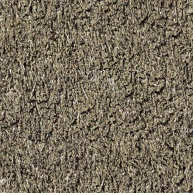 Textures   -   ARCHITECTURE   -   ROOFINGS   -   Thatched roofs  - Thatched roof texture seamless 04041 (seamless)