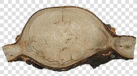 Textures   -   ARCHITECTURE   -   WOOD   -   Wood logs  - Wood logs texture 17397