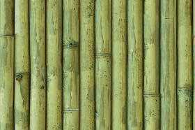 Textures   -   NATURE ELEMENTS   -  BAMBOO - Bamboo texture seamless 12271