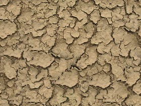 Textures   -   NATURE ELEMENTS   -   SOIL   -  Mud - Cracked dried mud texture seamless 12876
