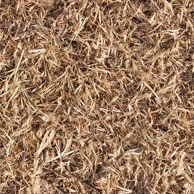 Textures   -   NATURE ELEMENTS   -   VEGETATION   -  Dry grass - Dry grass texture seamless 12918