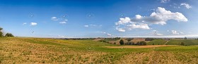 Textures   -   BACKGROUNDS &amp; LANDSCAPES   -   NATURE   -   Countrysides &amp; Hills  - Italy countrysides landscape texture 17499