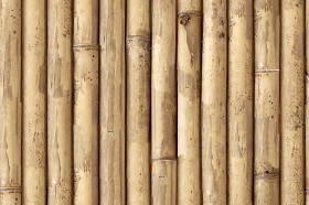 Textures   -   NATURE ELEMENTS   -   BAMBOO  - Bamboo texture seamless 12272 (seamless)