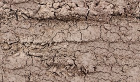 Textures   -   NATURE ELEMENTS   -   SOIL   -  Mud - Cracked dried mud texture seamless 12877