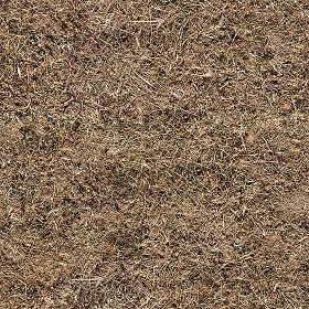 Textures   -   NATURE ELEMENTS   -   VEGETATION   -  Dry grass - Dry grass texture seamless 12919