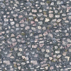 Textures   -   ARCHITECTURE   -   ROADS   -   Paving streets   -  Rounded cobble - Rounded cobblestone texture seamless 07489