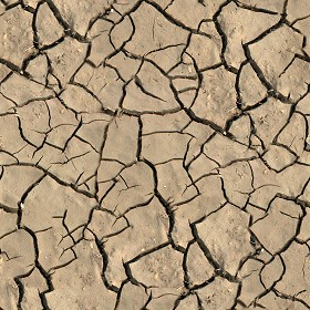 Textures   -   NATURE ELEMENTS   -   SOIL   -  Mud - Cracked dried mud texture seamless 12878