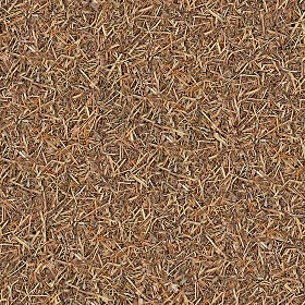 Textures   -   NATURE ELEMENTS   -   VEGETATION   -   Dry grass  - Dry grass texture seamless 12920 (seamless)