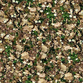 Textures   -   NATURE ELEMENTS   -   VEGETATION   -   Leaves dead  - Leaves dead texture seamless 13123 (seamless)