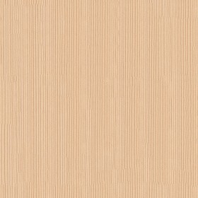 Textures   -   ARCHITECTURE   -   WOOD   -  Plywood - Noble fir plywood texture seamless 04515