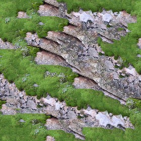 Textures   -   NATURE ELEMENTS   -   VEGETATION   -   Moss  - Rock moss texture seamless 13159 (seamless)