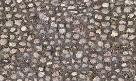 Textures   -   ARCHITECTURE   -   ROADS   -   Paving streets   -   Rounded cobble  - Rounded cobblestone texture seamless 07490 (seamless)