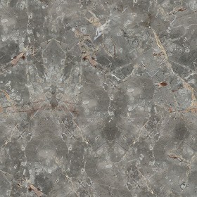 Textures   -   ARCHITECTURE   -   MARBLE SLABS   -   Grey  - Slab marble fior di bosco grey texture seamless 02309 (seamless)