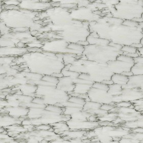 Textures   -   ARCHITECTURE   -   MARBLE SLABS   -  White - Slab marble veined Carrara white texture seamless 02578