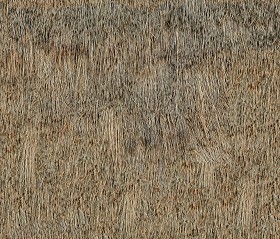 Textures   -   ARCHITECTURE   -   ROOFINGS   -   Thatched roofs  - Thatched roof texture seamless 04044 (seamless)