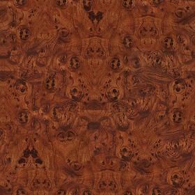 Walnut burl wood fine medium color texture seamless 04405