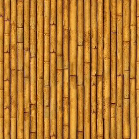 Textures   -   NATURE ELEMENTS   -  BAMBOO - Bamboo texture seamless 12274