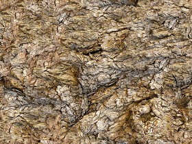 Textures   -   NATURE ELEMENTS   -  BARK - Bark texture seamless 12315