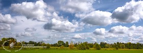 Textures   -   BACKGROUNDS &amp; LANDSCAPES   -  SKY &amp; CLOUDS - Sky with trees background 17786