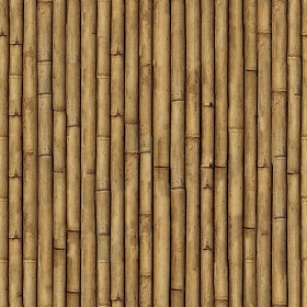 Textures   -   NATURE ELEMENTS   -   BAMBOO  - Bamboo texture seamless 12275 (seamless)