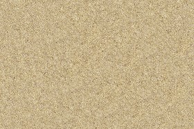 Textures   -   NATURE ELEMENTS   -   SAND  - Beach sand texture seamless 12708 (seamless)