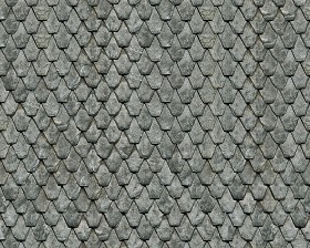 Textures   -   ARCHITECTURE   -   ROOFINGS   -  Slate roofs - Dirty slate roofing texture seamless 03904