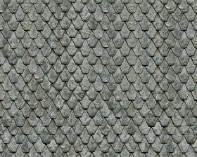 Textures   -   ARCHITECTURE   -   ROOFINGS   -   Slate roofs  - Dirty slate roofing texture seamless 03904 (seamless)