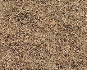 Textures   -   NATURE ELEMENTS   -   VEGETATION   -  Dry grass - Dry grass texture seamless 12922