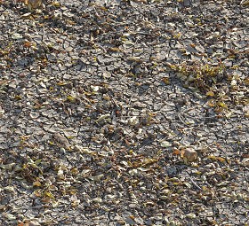 Textures   -   NATURE ELEMENTS   -   SOIL   -  Ground - Ground texture seamless 12819