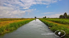 Textures   -   BACKGROUNDS &amp; LANDSCAPES   -   NATURE   -   Rivers &amp; streams  - Irrigation canal background 20806