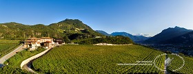Textures   -   BACKGROUNDS &amp; LANDSCAPES   -   NATURE   -  Vineyards - Italy vineyards background 17732