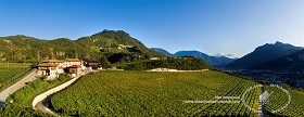 Textures   -   BACKGROUNDS &amp; LANDSCAPES   -   NATURE   -   Vineyards  - Italy vineyards background 17732