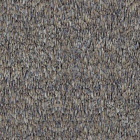 Textures   -   ARCHITECTURE   -   ROOFINGS   -   Thatched roofs  - Thatched roof texture seamless 04046 (seamless)