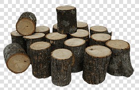 Textures   -   ARCHITECTURE   -   WOOD   -   Wood logs  - Wood logs texture 17402