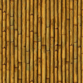 Textures   -   NATURE ELEMENTS   -   BAMBOO  - Bamboo texture seamless 12276 (seamless)