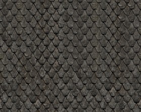 Textures   -   ARCHITECTURE   -   ROOFINGS   -  Slate roofs - Dirty slate roofing texture seamless 03905