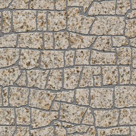 Textures   -   ARCHITECTURE   -   PAVING OUTDOOR   -   Flagstone  - Granite paving flagstone texture seamless 05875 (seamless)