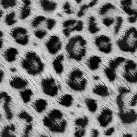 Textures   -   MATERIALS   -   FUR ANIMAL  - Gray leopard faux fake fur animal texture seamless 09561 (seamless)