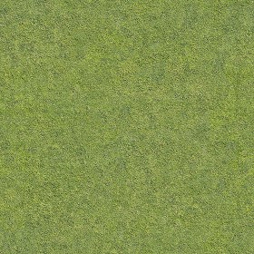 Textures   -   NATURE ELEMENTS   -   VEGETATION   -  Green grass - Green grass texture seamless 12977