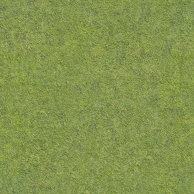 Textures   -   NATURE ELEMENTS   -   VEGETATION   -   Green grass  - Green grass texture seamless 12977 (seamless)