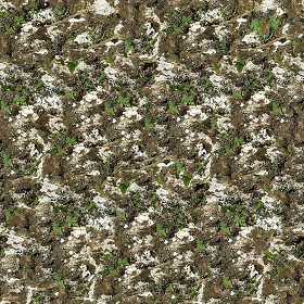 Textures   -   NATURE ELEMENTS   -   VEGETATION   -  Moss - Rock moss texture seamless 13162
