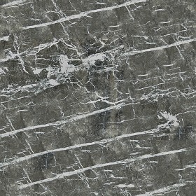 Textures   -   ARCHITECTURE   -   MARBLE SLABS   -  Grey - Slab marble grey carnico texture seamless 02312