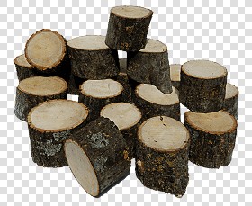 Textures   -   ARCHITECTURE   -   WOOD   -   Wood logs  - Wood logs texture 17403