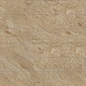 Textures   -   ARCHITECTURE   -   TILES INTERIOR   -   Marble tiles   -  Brown - Breccia sardinia brown marble tile texture seamless 14190