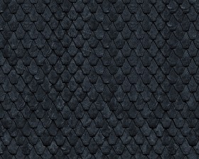 Textures   -   ARCHITECTURE   -   ROOFINGS   -   Slate roofs  - Dirty slate roofing texture seamless 03906 (seamless)