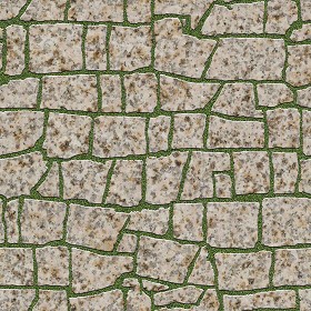 Textures   -   ARCHITECTURE   -   PAVING OUTDOOR   -   Flagstone  - Granite paving flagstone texture seamless 05876 (seamless)