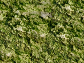 Textures   -   NATURE ELEMENTS   -   VEGETATION   -   Moss  - Moss texture seamless 13163 (seamless)